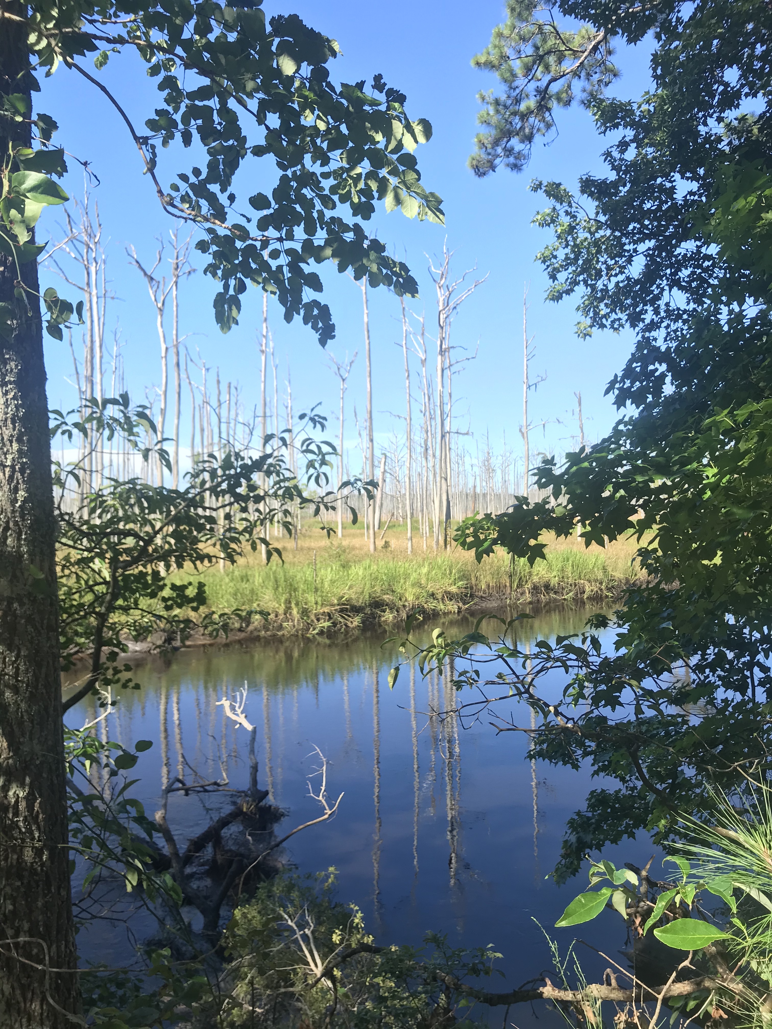 Brunswick Nature Park
