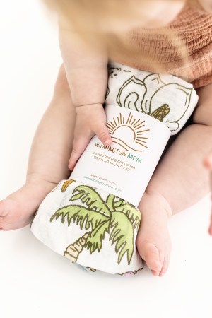 Wilmington Baby Swaddle