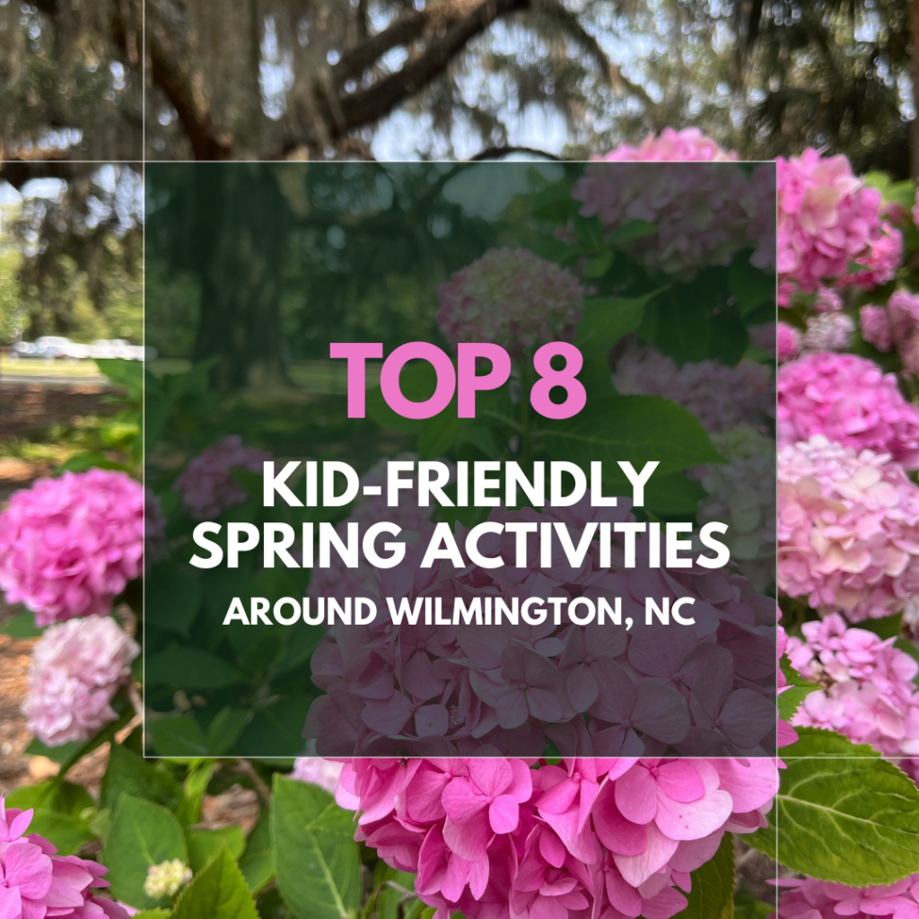 Top 8 Kid-Friendly Spring Activities in Wilmington, NC