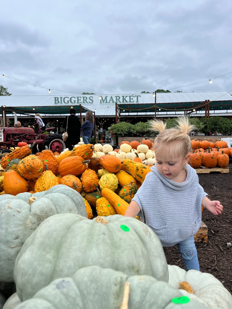 A young child exploring a pumpkin patch at Bigger's Market, with a variety of pumpkins in the background and a rustic market structure overhead.