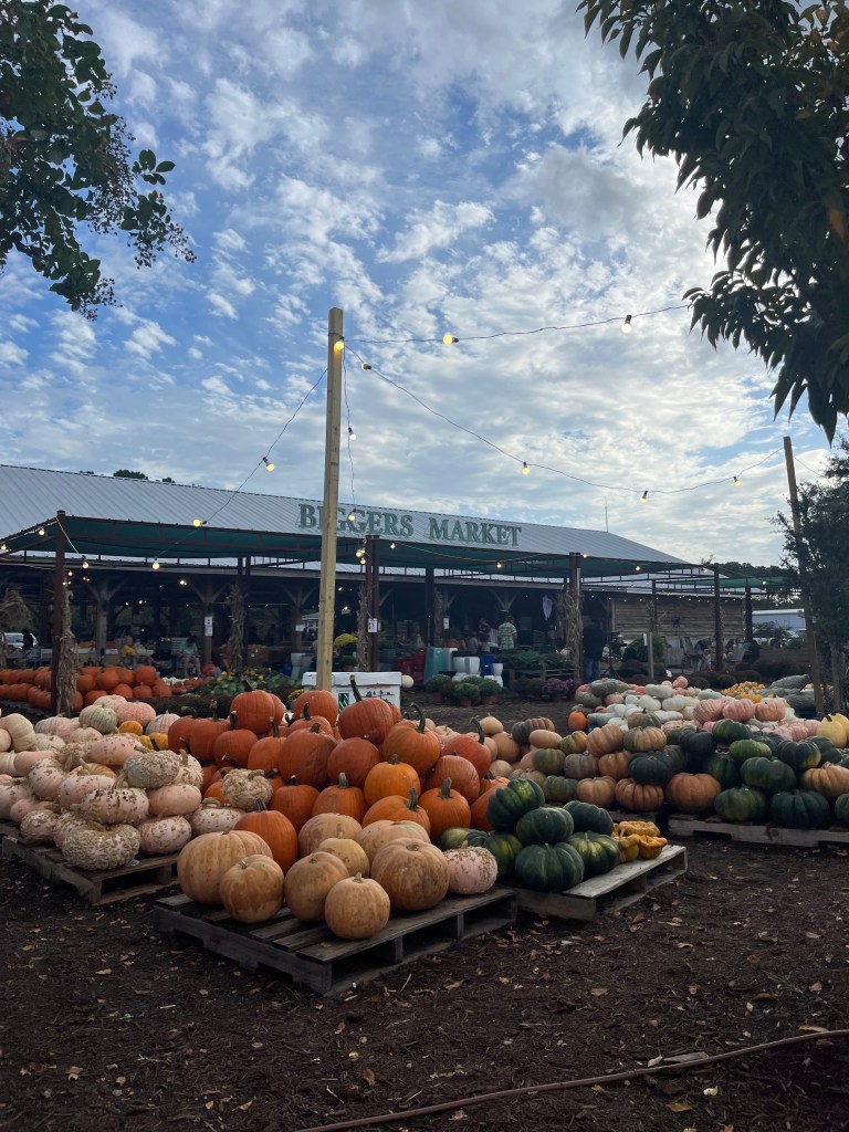 A vibrant outdoor market filled with a variety of pumpkins in different colors and sizes, with a canopy structure and string lights overhead.
