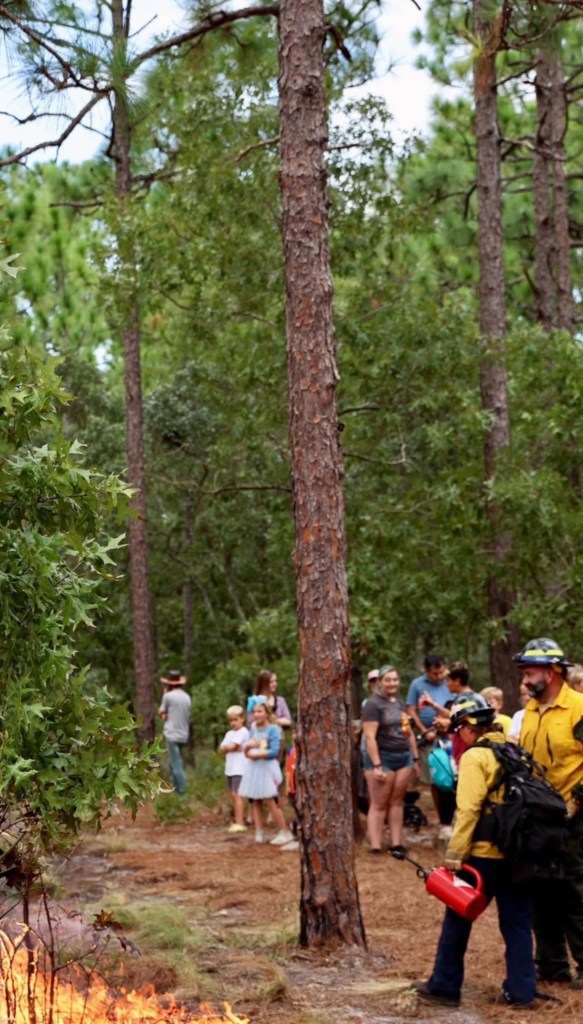 A fire management professional in yellow gear demonstrates controlled burning in a wooded area, while a group of onlookers, including children, observes nearby.