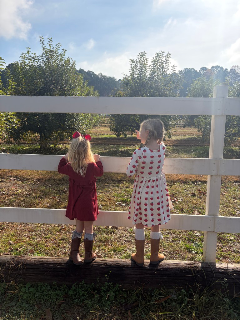 Two young girls standing by a white wooden fence, gazing at an apple orchard under a sunny sky.
