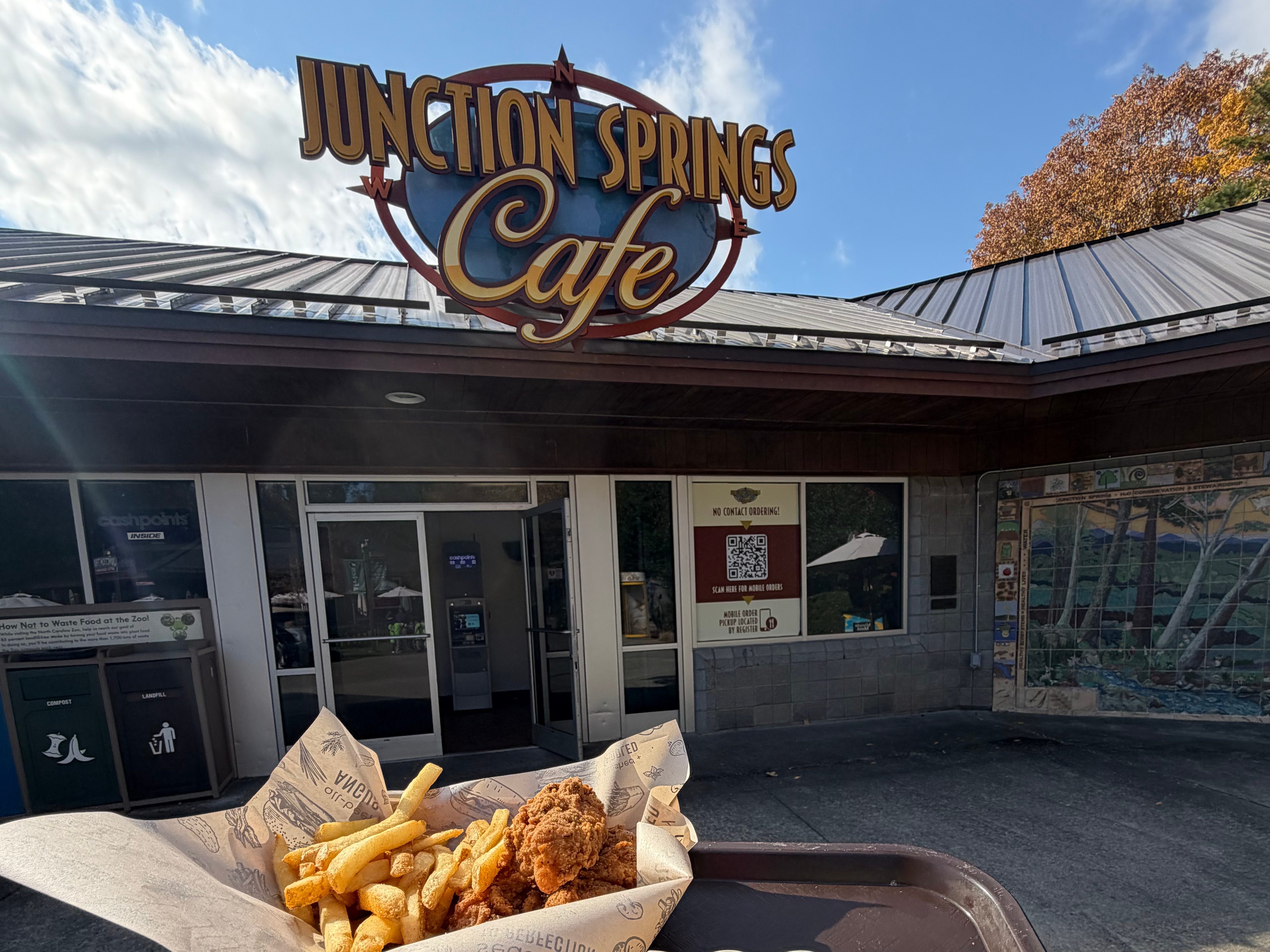Junction Springs Cafe sign with food on a tray featuring fries, fried chicken, and a wrapped item alongside an orange and cookies.