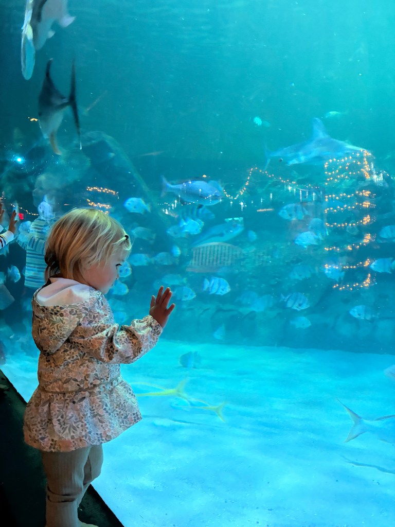 A child admiring colorful fish swimming in an aquarium, with underwater lighting creating a serene atmosphere.